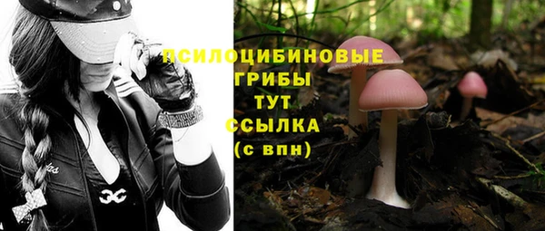 дмт Алексеевка